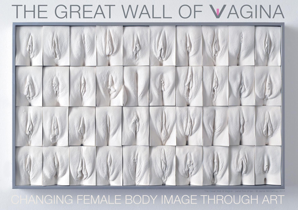 The Great Wall of Vagina panel 5 poster