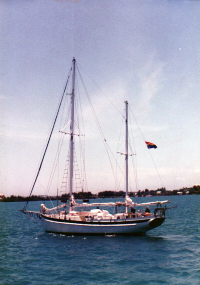 Mondcivitano in Bermuda 1985