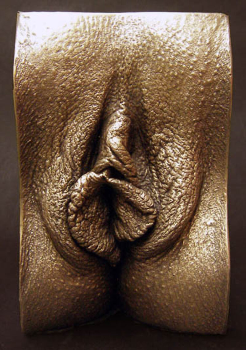 resin bronze vulva cast