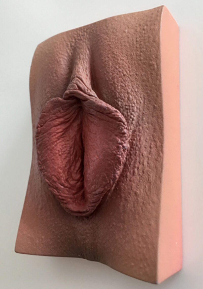 realistically painted vulva cast