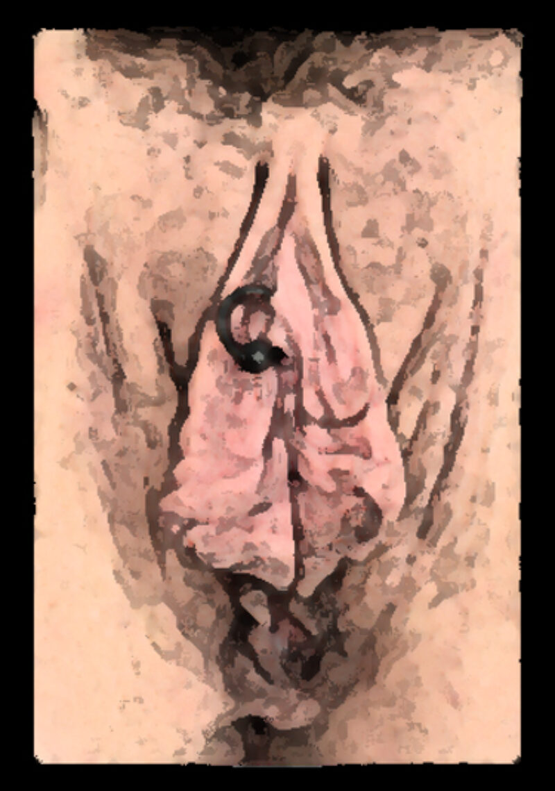 artwork of a vulva with a vch piercing