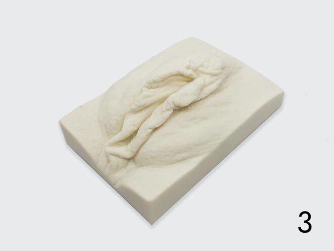 vulva shaped natural soap bar with large labia