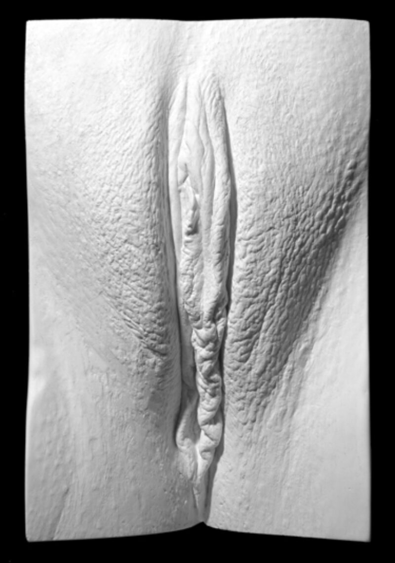 plaster cast of a vulva from The Great Wall of Vagina showing identical twins labia 1