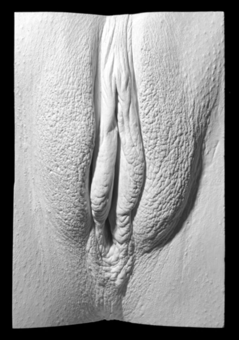 plaster cast of a vulva from The Great Wall of Vagina showing after pregnancy labia