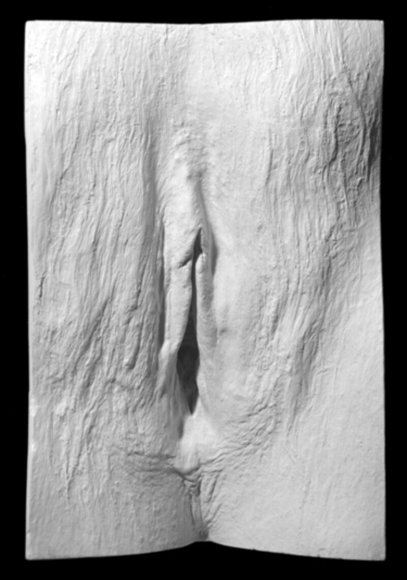 plaster cast of a vulva from The Great Wall of Vagina