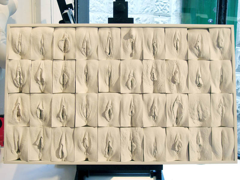 Design A Vagina - original forty plaster casts of vulvas by Jamie McCartney 2008